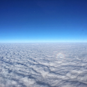 外国女人风骚的做爱视频
