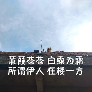 外国女人风骚的做爱视频
